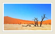 Dead Vlei